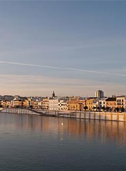 La gestión de congresos de Sevilla pasa a manos privadas.