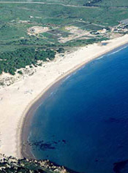 Las aguas de baño de las playas andaluzas presentan adecuadas condiciones sanitarias según la Consejería de Salud