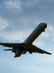 Reclaman una regulación adecuada para el transporte aéreo.