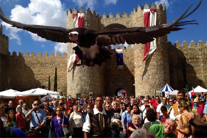 Las Jornadas Medievales de Ávila, Fiesta de Interés Turístico Nacional