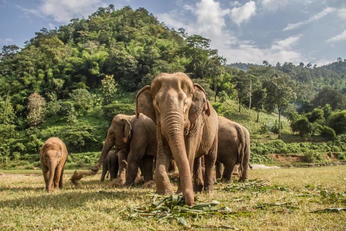 Travelplan adapta su oferta en Tailandia en pro de un Turismo sostenible