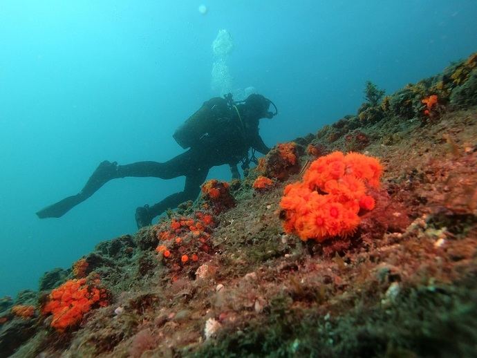 RIU refuerza su compromiso con la biodiversidad en Andalucía