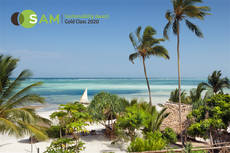 (Imagen: Meliá Hotels International).