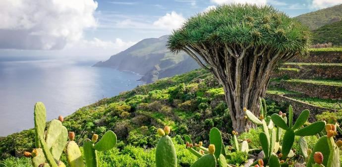 El Gobierno y Canarias activan la campaña de bonos para viajar a La Palma