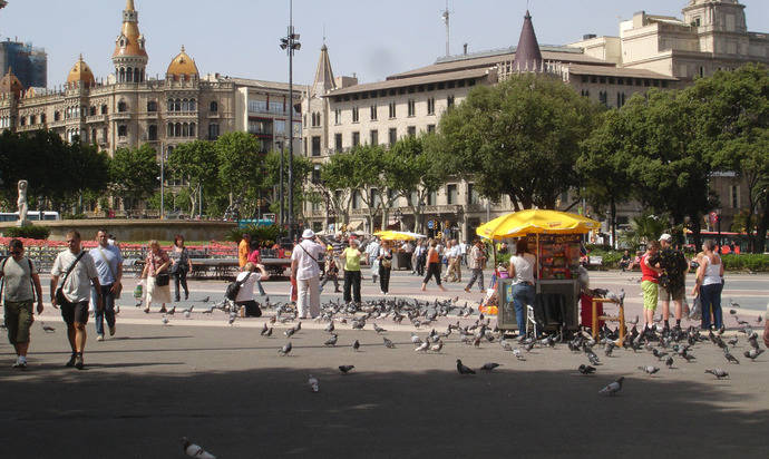 ACAVE: ‘La tasa turística se destina a otros fines no estrictamente turísticos’