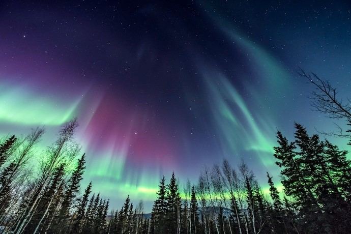 Princess Cruises ofrece cruceros por Alaska para ver las auroras boreales