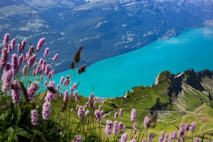 Crece un 28% el número de españoles que viaja a Suiza entre enero y abril