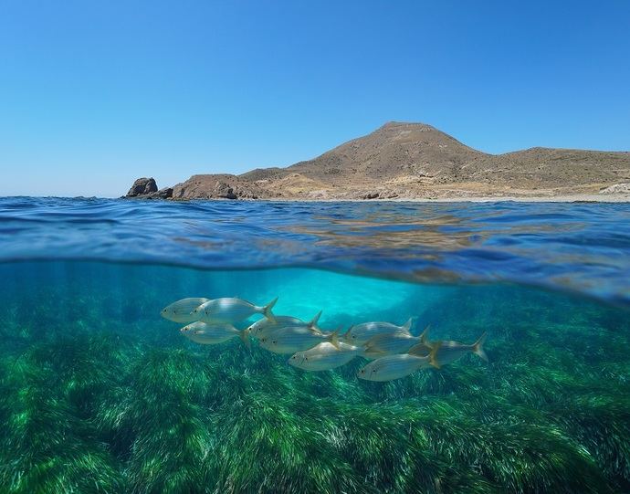 Almería acoge el primer congreso sobre Turismo y Economía Azul