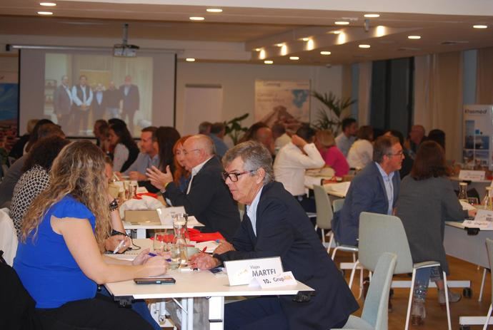El VIII Workshop Grup AVA reunió a más de 70 personas en Mallorca