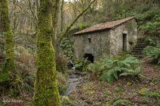 Fegatur y Agavi organizan un viaje de familiarización a Galicia
