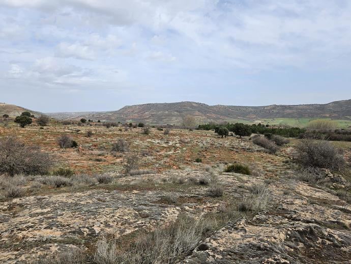 Grupo IAG7 adquiere un bosque en Sierra de Pela en pro de la descarbonización