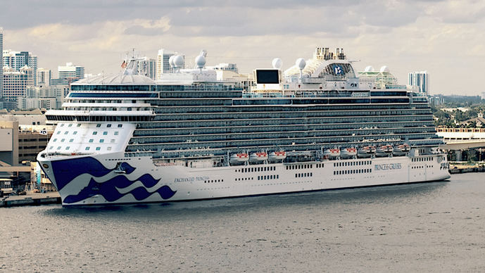 Enchanted Princess, barco elegido para el crucero temático.