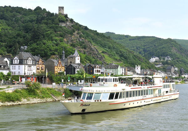 Crucero fluvial por la ribera del Rin.