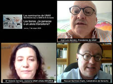 Imagen del seminario virtual.
