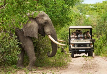 OMT y Atrevia impulsarán el Turismo en África