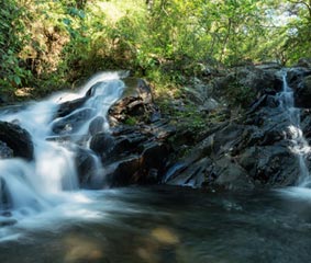 Ávoris fija Costa Rica como destino estrella para el verano