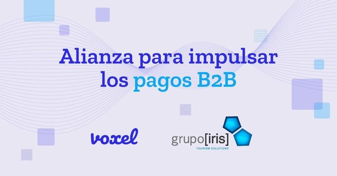 Voxel se alía con Grupo Iris para mejorar los pagos on line