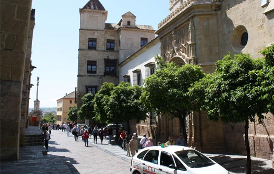 El Palacio de Congresos de Córdoba cumple un año con más de 110 eventos