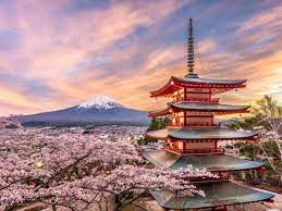 Japón relaja los requisitos de Covid-19 para poder entrar en el país