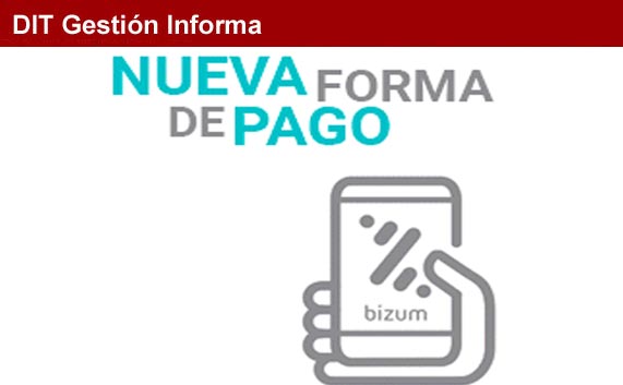 Bizum para el pago de los viajes en páginas web
