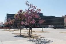 OPC España remarca el poder de los congresos para dinamizar la economía