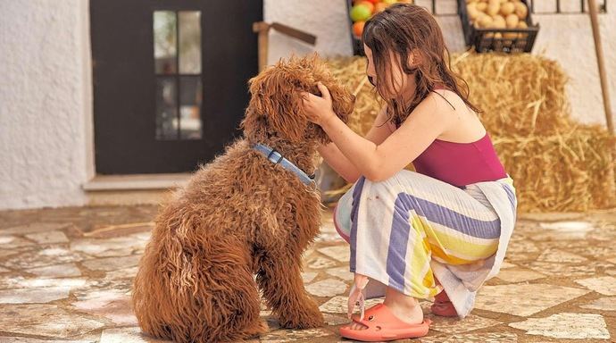 Turismo 'pet-friendly': nueve de cada 10 campings ya admiten mascotas