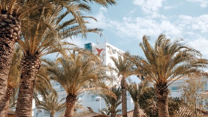 Ushuaïa Ibiza Beach Hotel presenta ‘Palmarama’