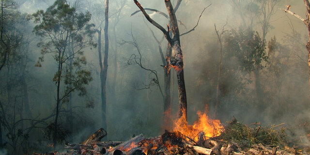 CEAV confirma una caída "importante" de la demanda hacia las zonas de incendios