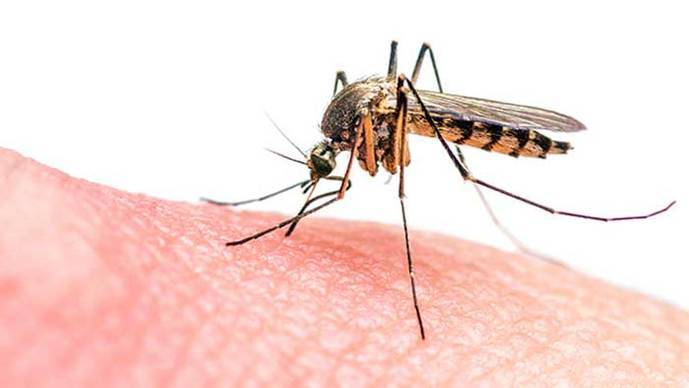 ‘Cancelaciones puntuales’ en Brasil por el virus Zika