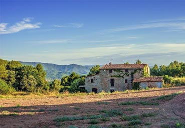 La OMT mira hacia un Turismo verde e inclusivo