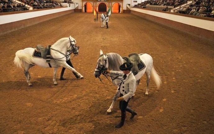 Jerez candidata al Congreso de Sostenibilidad Turísticas en 2024