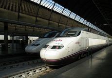 Renfe pone a la venta los billetes para viajar en AVE con perros