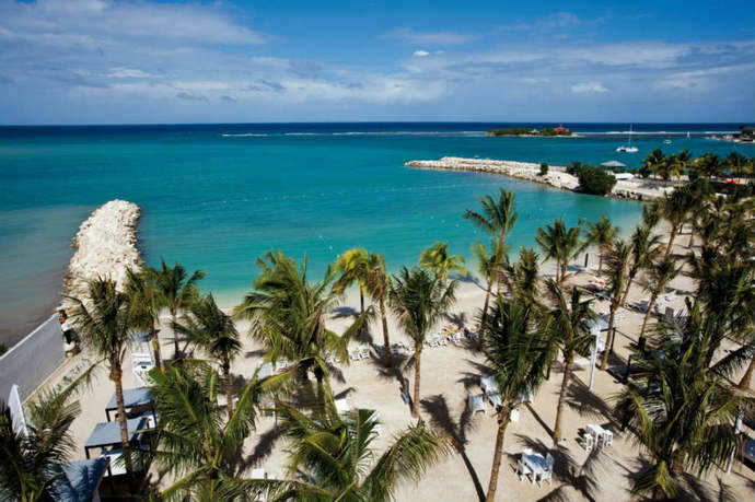 Riu Hotels &amp; Resorts recauda fondos contra el cambio climático