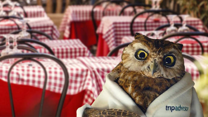 TripAdvisor ofrece aumentar el impacto de la publicidad