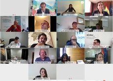 Imagen de la reunión telemática.