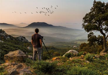 UNAV promueve el Turismo de aves en el destino Cádiz